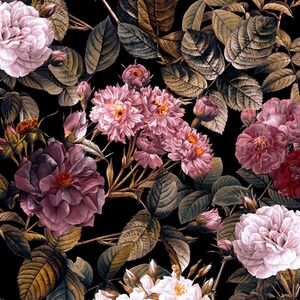 🦋Congratulations!🦋Live Show Listing #01-#50